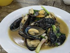 -贞姨美食·老字号海鲜大排档