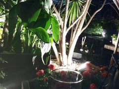 -听香·678茶铺(猛追湾店)