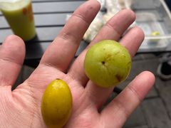 -阿群甘草水果