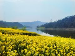 -新安江山水画廊风景区