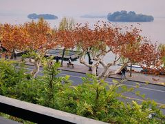 -楼外楼(西湖景区孤山路店)