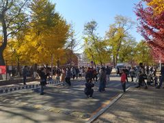 -辽宁大学(崇山校区)