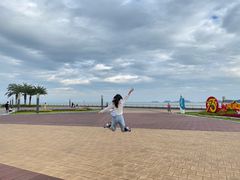 -野狸岛