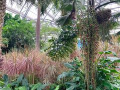 -南山植物园