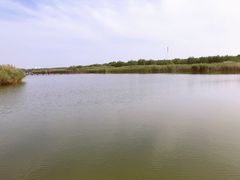 -西青郊野公园