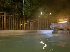 -天目湖涵田半山温泉