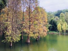 -广州市白云山风景名胜区