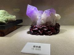 -陕西自然博物馆