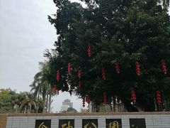 -金砂公园