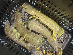 -琼大师东方烤乳猪(亚特兰蒂斯店)