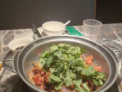 -禄婶鸡煲·打边炉