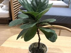 -MUJI无印良品(杭州万象城店)