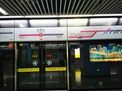 -大龙山(地铁站)