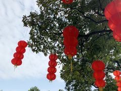 -云溪植物园