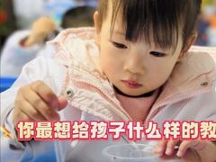 -金豆子幼稚园