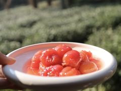 -野蔓果·山野菜(西湖景区·龙井茶田店)