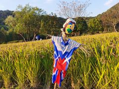 -八卦田遗址公园