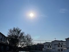 -鹅湖玫瑰文化园