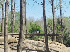 -哈尔滨北方森林动物园