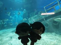 -福州罗源湾海洋世界旅游区