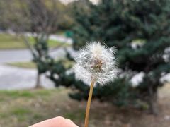 -江南大学(蠡湖校区)