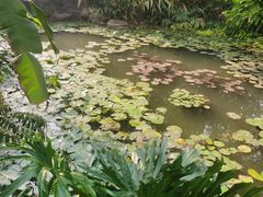 -曼听御花园