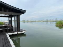 -蟹天蟹地农家菜·阳澄湖大闸蟹(浅水湾店)