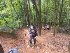 -广州市帽峰山景区