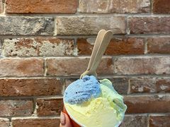 花椒凤梨-Dal Cuore 达可芮冰淇淋(陕西北路店)