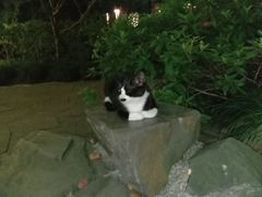 -苏堤停车场