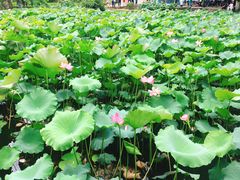 -韶山毛泽东同志故居