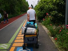 -上海长兴岛郊野公园