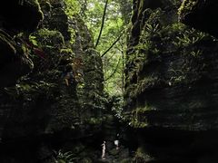 -梭布垭石林景区