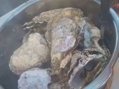 高压锅生蚝-0574龙虾的故事(东裕店)