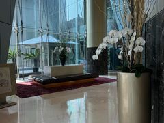 -上海明天广场JW万豪酒店