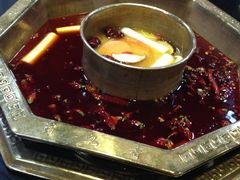-蜀九香火锅(九眼桥店)