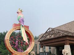 -南宫五洲植物乐园