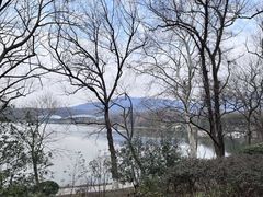 -梅花山(明孝陵内)