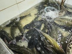 -都江堰石锅鱼