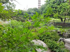 -江心屿景区