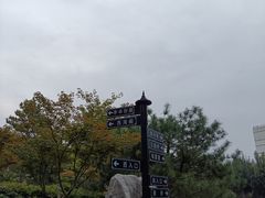 -西海子公园