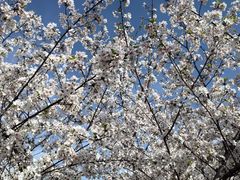 -玄武湖景区-情侣园游乐场