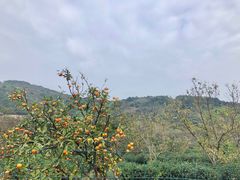 -缥缈峰景区