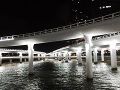 -演武大桥观景平台