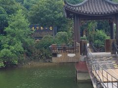 -天目湖山水园