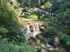 -青城山