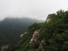 -牛背梁国家森林公园