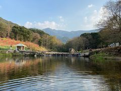 -广州市石门国家森林公园