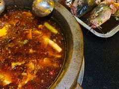 -秦巴石锅鱼(文化南路店)