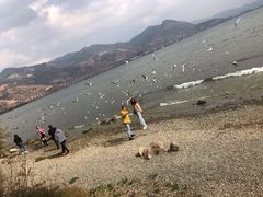 -南诏风情岛